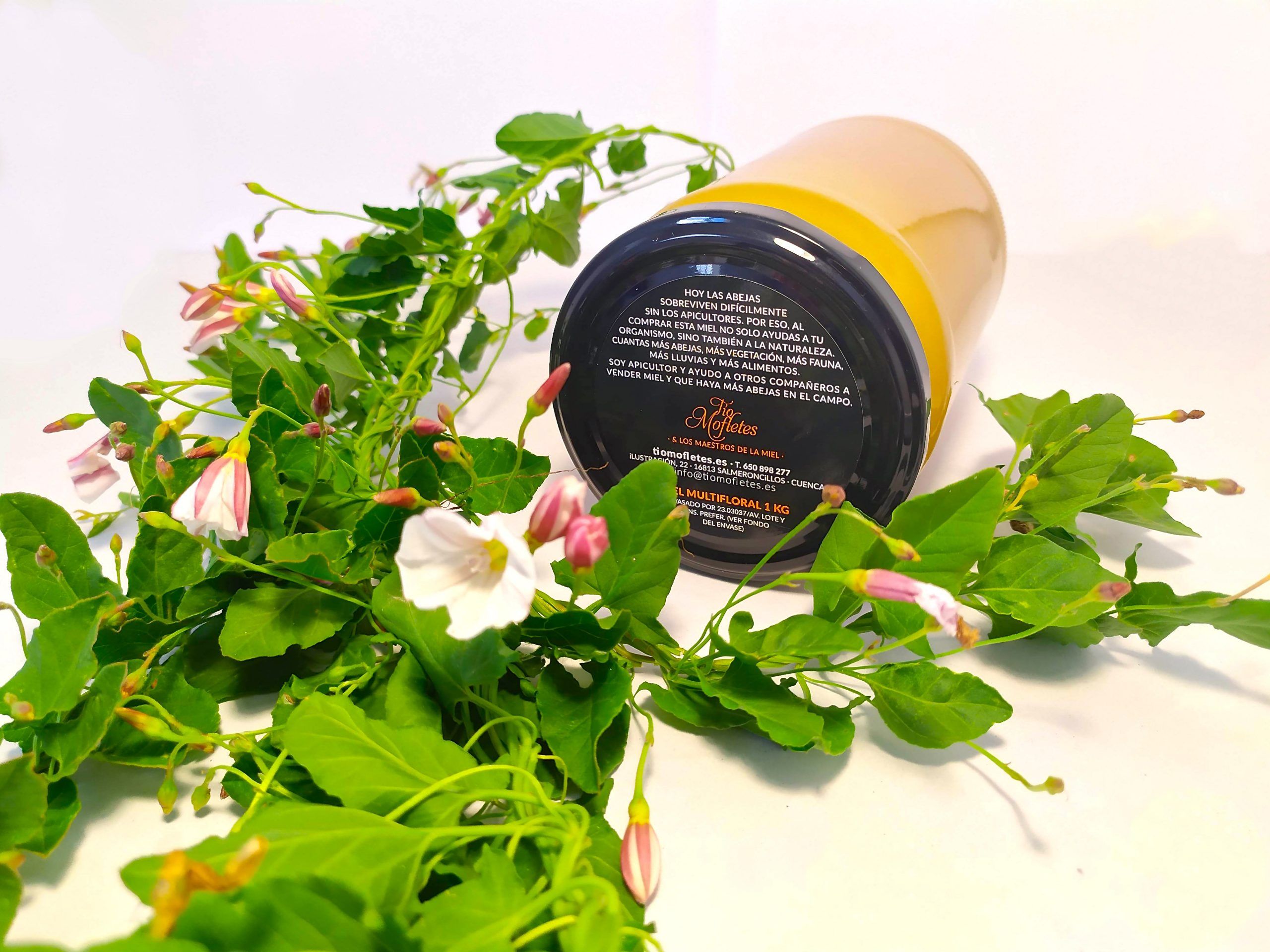 Miel Multifloral de Primavera1Kg